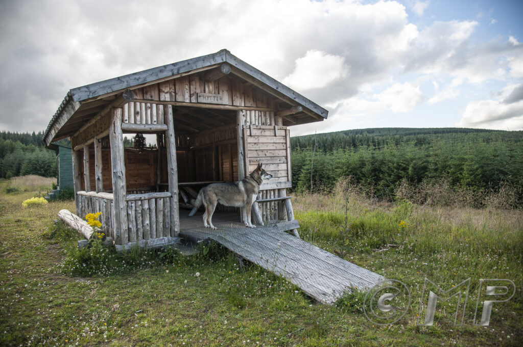 170727 - Clashindarroch-8