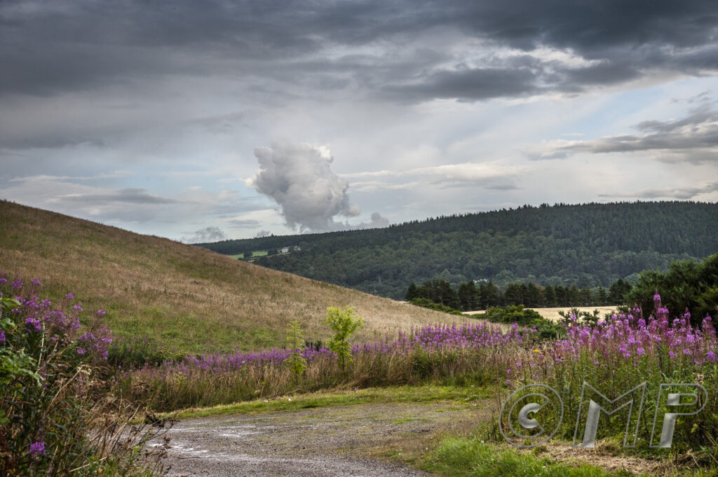 170731 - Kirkhill-1