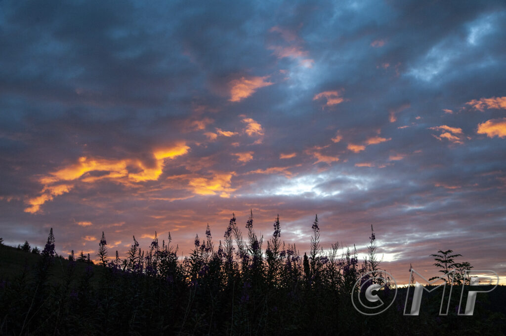 170801 - Kirkhill-3