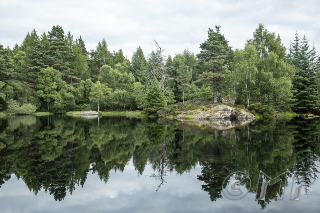 170820 - Inverfarigaig, Loch Ness-8