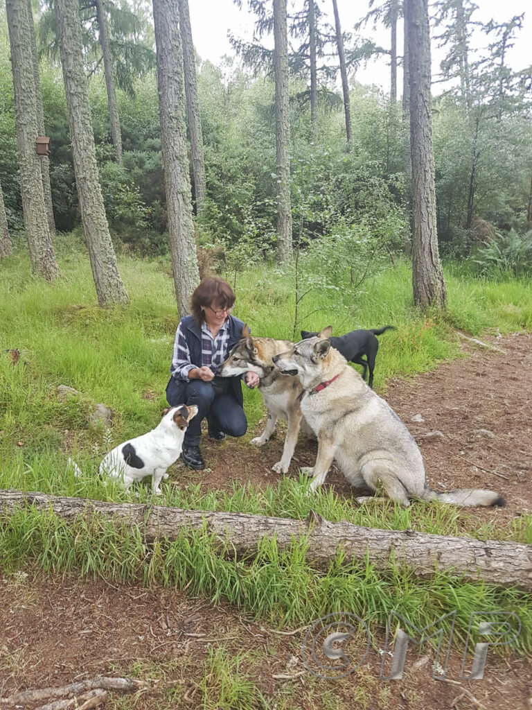 20210709 - Highland Hounds (from Gill)-4
