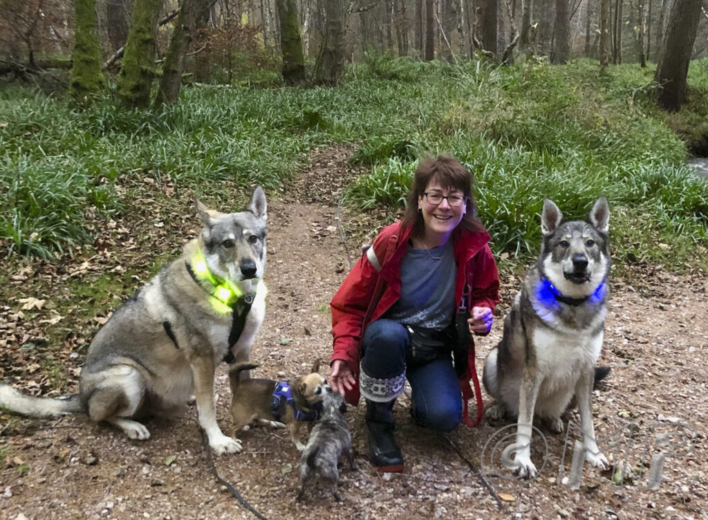 From Lesley-8