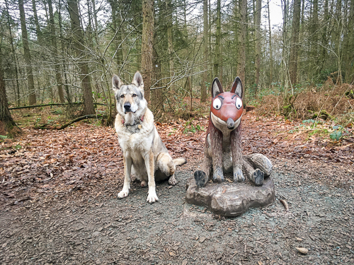 Delamere (phone)